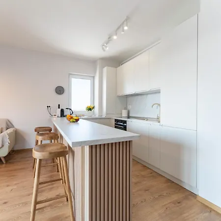 Mohost Arena Brașov