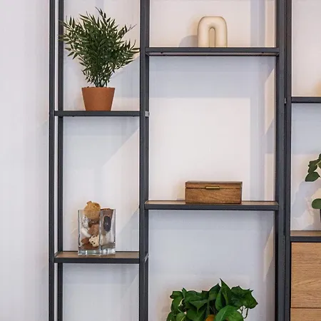 Mohost Arena * Brașov