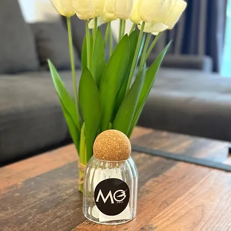 Apartment Mohost Arena *