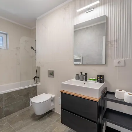 Mohost Arena Брашов