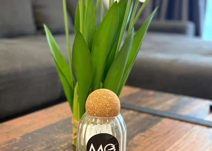 Апартаменты Mohost Arena *