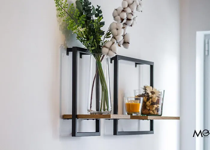 Mohost Arena Апартаменты *