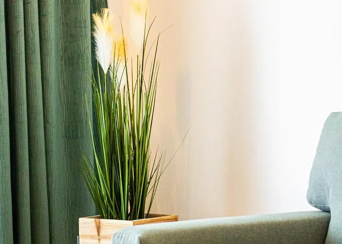 Mohost Arena * Брашов