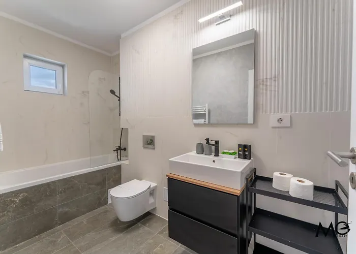 Mohost Arena Брашов