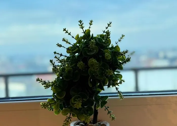 Апартаменты Mohost Arena Брашов