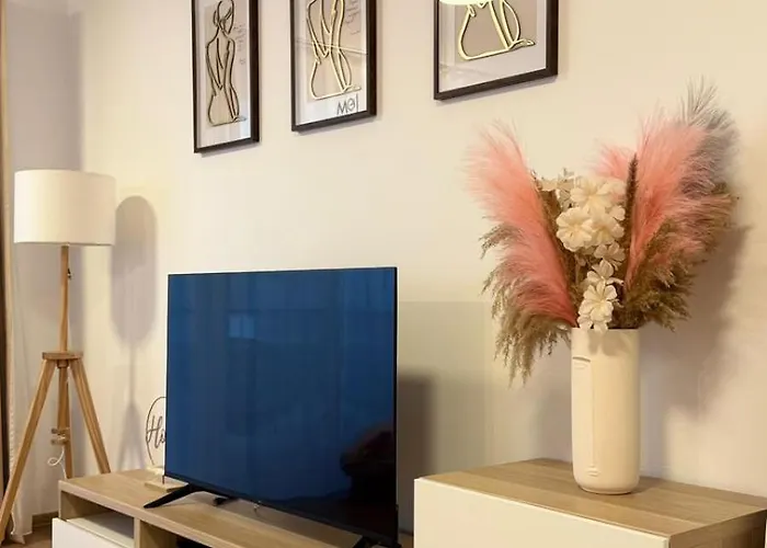 Mohost Arena * Брашов